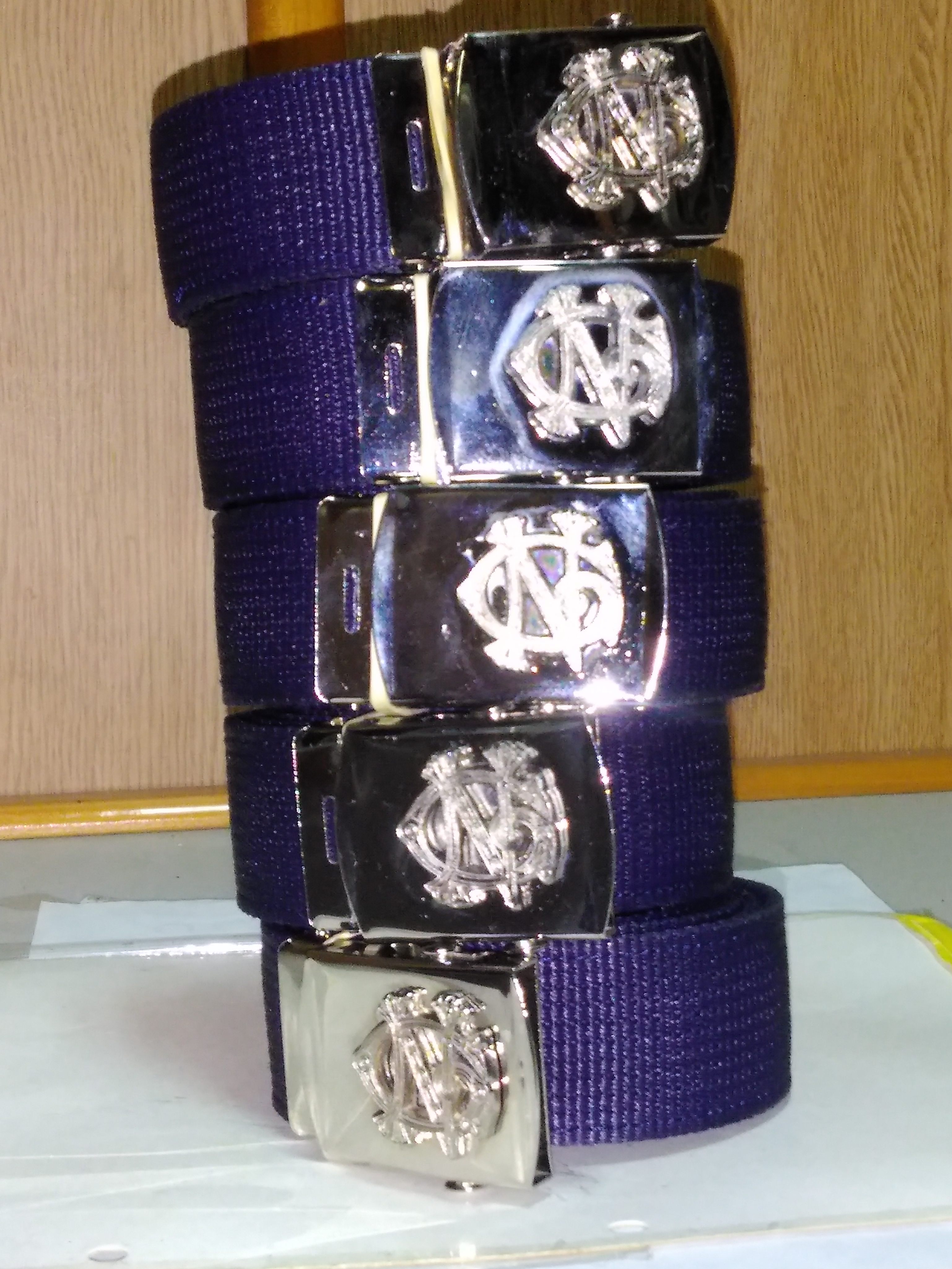 Cinto de precinta F1